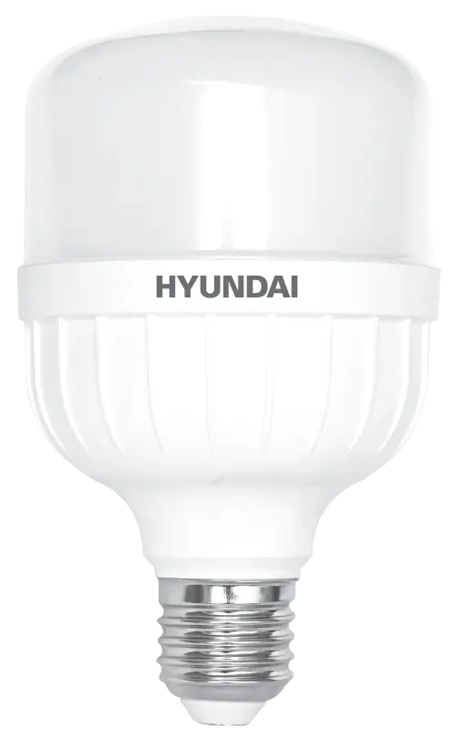 HYUNDAI LED  LAMP T80 20W E27 Bulb 6500K